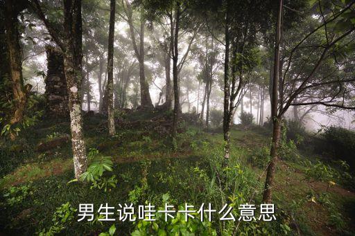 卡卡指的什么意思，什么叫卡卡kaka三聲
