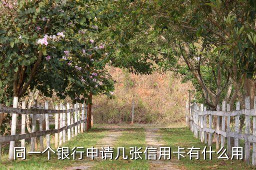 同一個銀行申請幾張信用卡有什么用