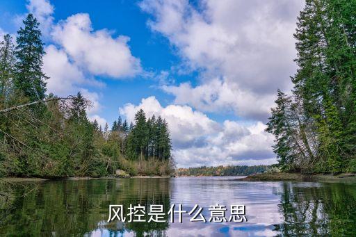 什么是風險抑制，風控是什么意思