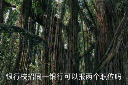 銀行兩進(jìn)兩限是什么，農(nóng)行網(wǎng)上銀行兩個(gè)管理員如何進(jìn)行賬戶權(quán)限管理