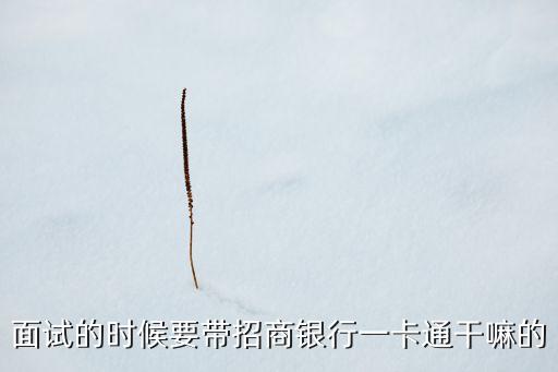 面試的時(shí)候要帶招商銀行一卡通干嘛的