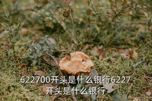 622700開頭是什么銀行6227開頭是什么銀行