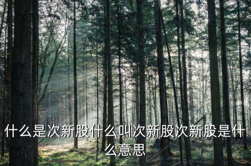 什么是次新股什么叫次新股次新股是什么意思
