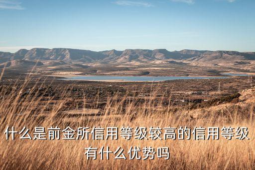 什么是前金所信用等級較高的信用等級有什么優(yōu)勢嗎