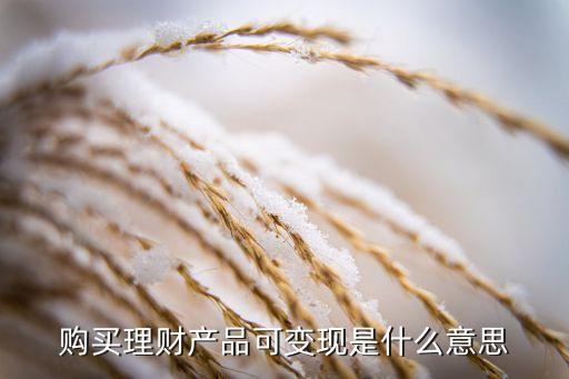 借款產(chǎn)品可變現(xiàn)是什么意思，剩余期限360天以下可變現(xiàn)是什么意思