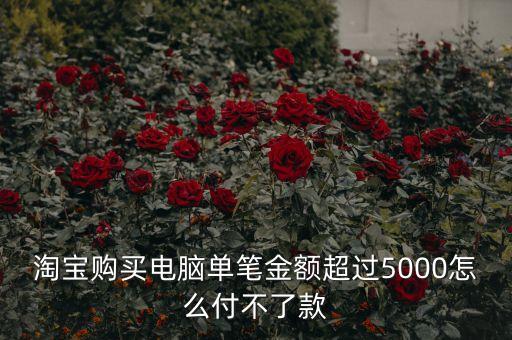 為什么淘寶付款超過五千付不了，用網(wǎng)銀付款大于五千不讓付怎么回事
