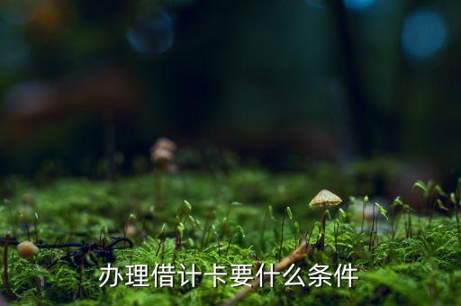開通借記卡要帶什么條件，請問辦借記卡需要什么條件
