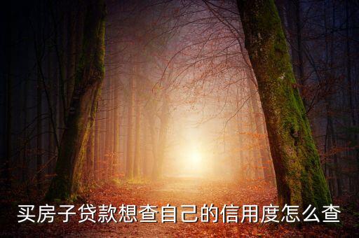 買房子貸款想查自己的信用度怎么查
