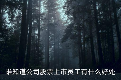 誰知道公司股票上市員工有什么好處