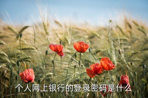 個(gè)人網(wǎng)上銀行的登錄密碼是什么