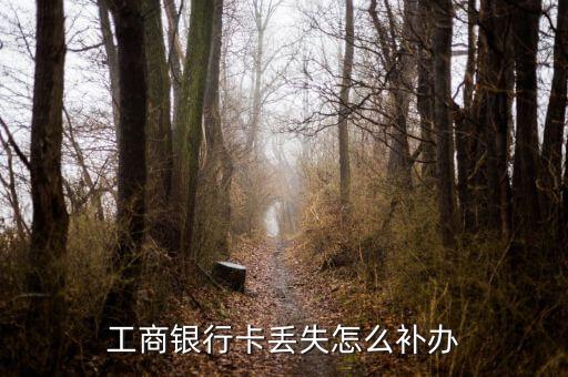 工商卡補(bǔ)卡需要什么資料，補(bǔ)辦工行銀行卡需要什么要求