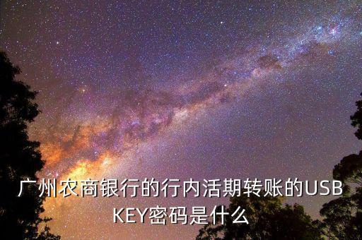 廣州農(nóng)商銀行的行內(nèi)活期轉(zhuǎn)賬的USBKEY密碼是什么