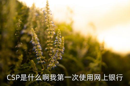 CSP是什么啊我第一次使用網(wǎng)上銀行