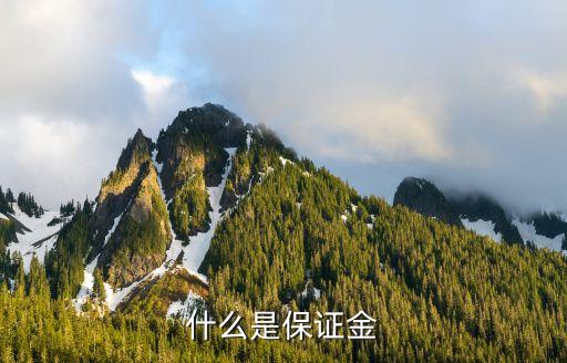 什么是保證金