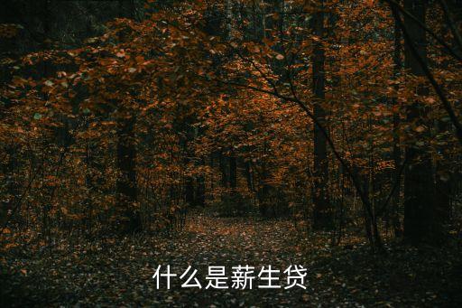 什么是薪生貸
