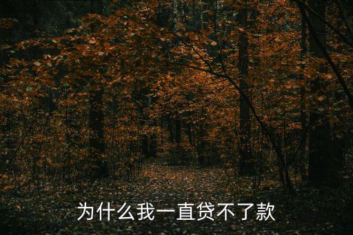 為什么我一直貸不了款
