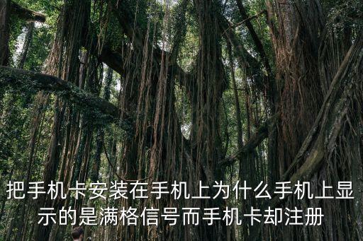 把手機(jī)卡安裝在手機(jī)上為什么手機(jī)上顯示的是滿格信號(hào)而手機(jī)卡卻注冊(cè)