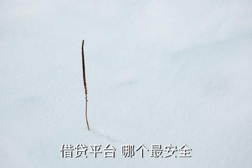 借貸平臺(tái) 哪個(gè)最安全