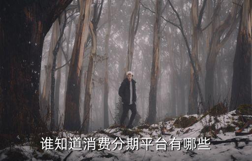 誰知道消費分期平臺有哪些