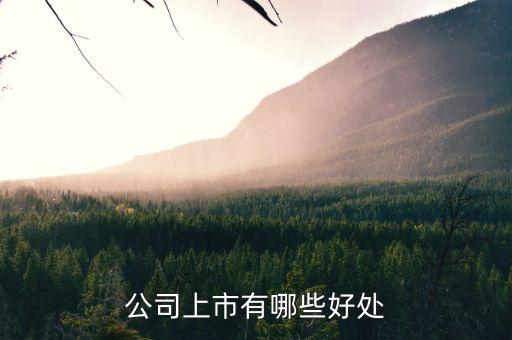 公司上市有哪些好處