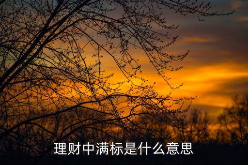 理財(cái)中滿標(biāo)是什么意思