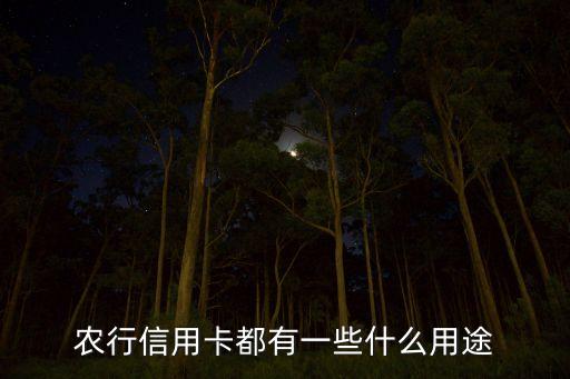 農(nóng)行信用卡都有一些什么用途