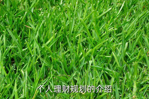 理財管理計劃是什么，個人理財規(guī)劃的介紹
