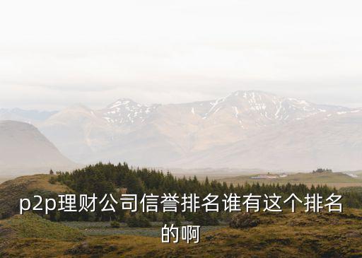 p2p理財(cái)公司信譽(yù)排名誰有這個排名的啊