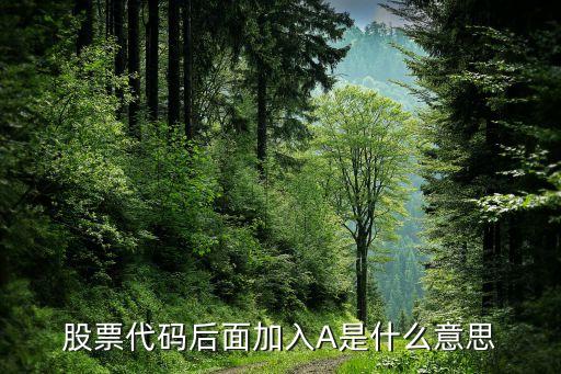 股票賬號(hào)特A表示什么，股票特力AB是甚么意思