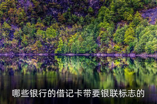 哪些銀行的借記卡帶要銀聯(lián)標(biāo)志的