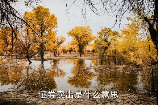股票出了是什么意思是什么意思啊，證券賣出是什么意思