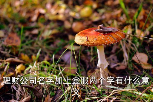 金益金服做什么的，金服是做什么的啊