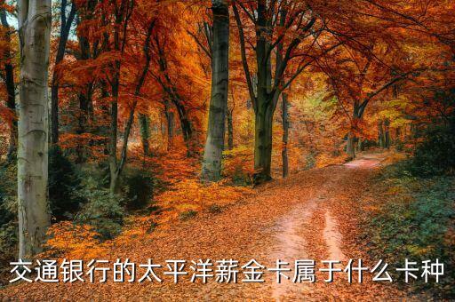 交通薪金卡是什么卡，交通銀行太平洋薪金卡是透支卡嗎