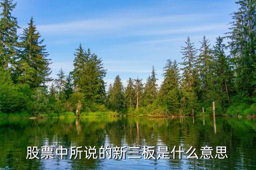 股票中所說的新三板是什么意思