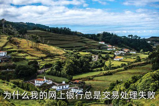 為什么我的網(wǎng)上銀行總是交易處理失敗