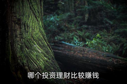 哪個(gè)投資理財(cái)比較賺錢