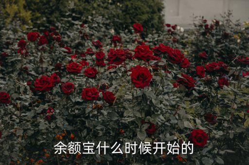 余額寶什么時候開始的，余額寶什么時候開始的