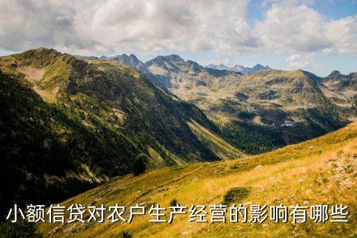小額信用貸有什么影響，小額貸款對房貸有影響嗎