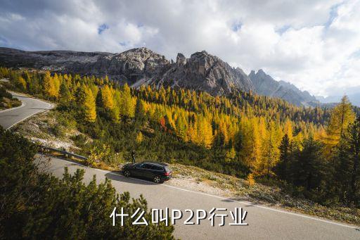 P2P 什么城，什么叫P2P