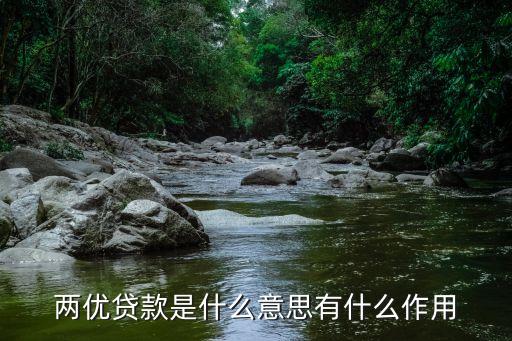兩優(yōu)貸款是什么意思有什么作用