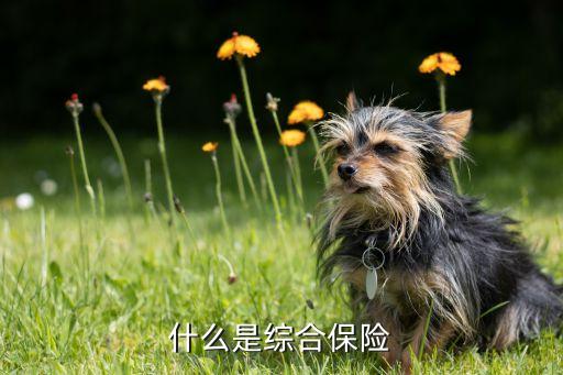什么是綜合保險(xiǎn)