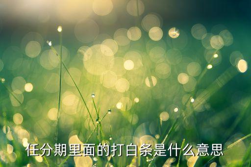 任分期里面的打白條是什么意思