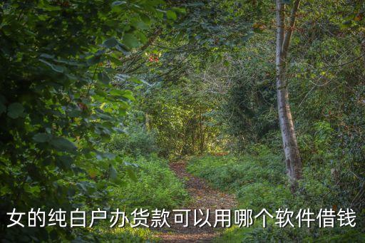女的純白戶辦貨款可以用哪個軟件借錢