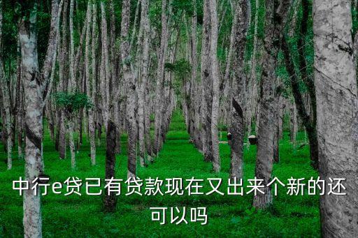 中國銀行E貸是什么，中國銀行中銀E貸怎么用