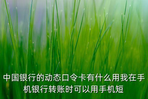 中國銀行的動態(tài)口令卡有什么用我在手機銀行轉(zhuǎn)賬時可以用手機短