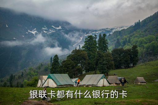 什么卡是有銀聯(lián)的，哪些銀行的借記卡帶要銀聯(lián)標(biāo)志的