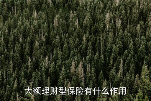大額理財型保險有什么作用