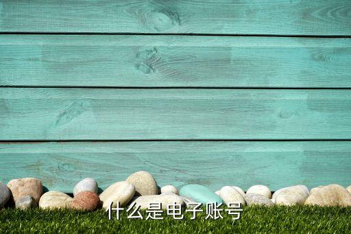 中國農(nóng)業(yè)銀行電子賬戶是什么，什么是電子賬號