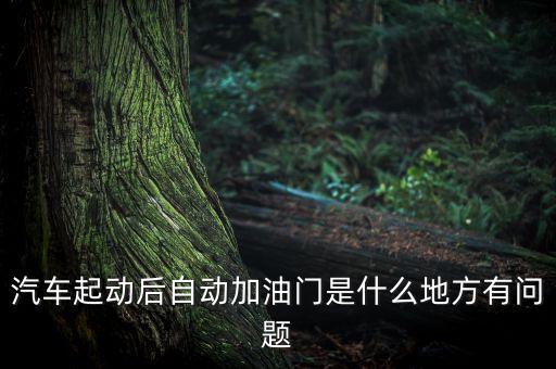 汽車起動(dòng)后自動(dòng)加油門是什么地方有問題