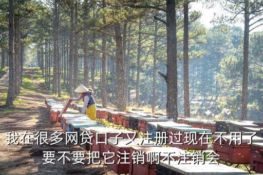 我在很多網(wǎng)貸口子又注冊過現(xiàn)在不用了要不要把它注銷啊不注銷會